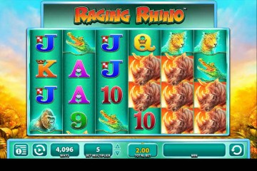 Raging Rhino MCPcom WMS