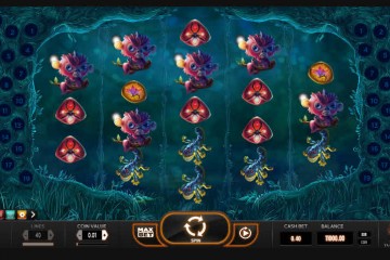 Magic Mushrooms mcp5