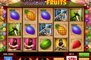 Ninja Fruits MCPcom Play'n GO