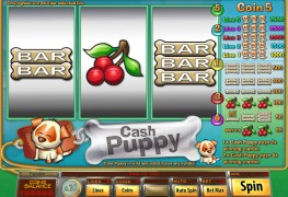Cash Puppy MCPcom Saucify