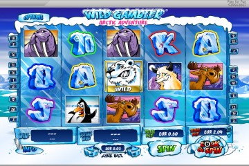 Wild Gambler – Arctic Adventure MCPcom Ash Gaming