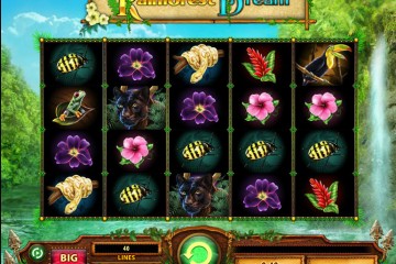 Rainforest Dream Video Slots by WMS