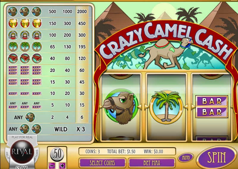 Crazy Camel Cash MCPcom Rival