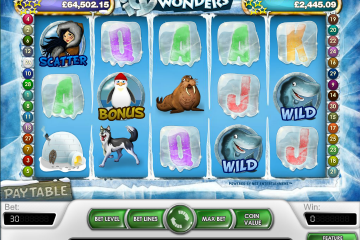 Icy Wonders mcp