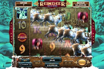 Reindeer Wild Wins mcp