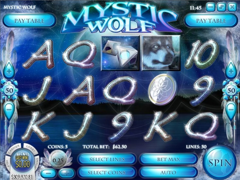 Mystic Wolf mcp casing1