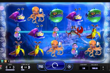 Reef Run mcp6